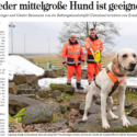 Heilbronner Stimme: „Jeder mittelgroße Hund ist geeignet“