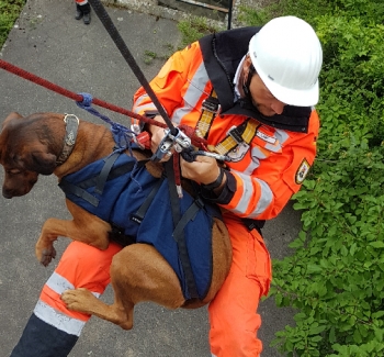 Einsätze der Rettungshundestaffel Unterland e.V. 2019